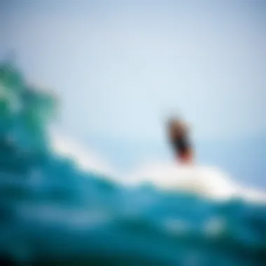 Visual representation of wind patterns over Washington's kiteboarding locations