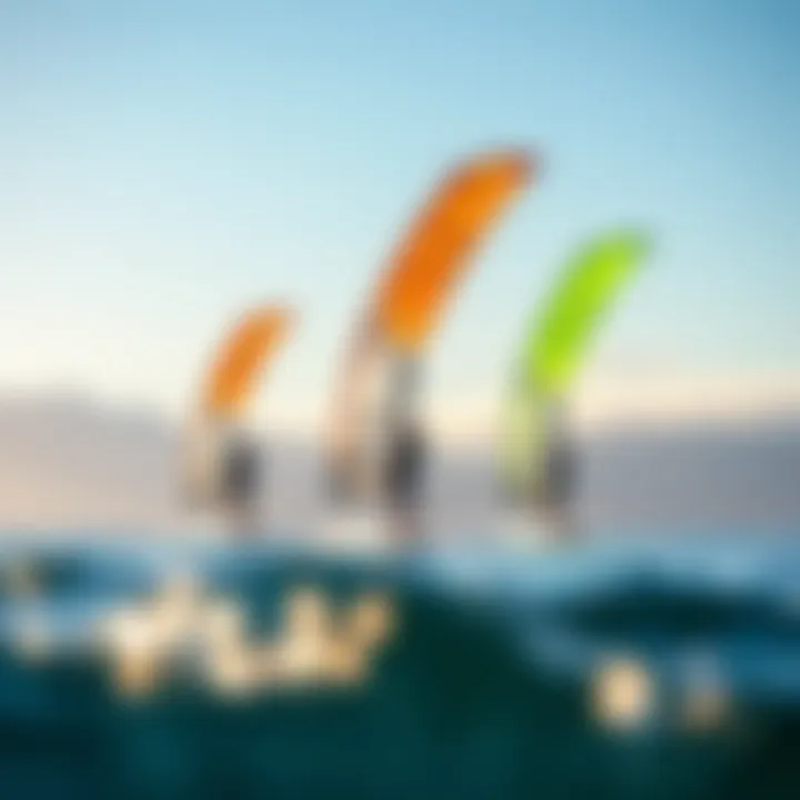 Comparison of Wing Designs Comparison of different wing designs for foiling