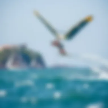 Aerial Performance in Foilsurfing A foilsurfer gliding above the water