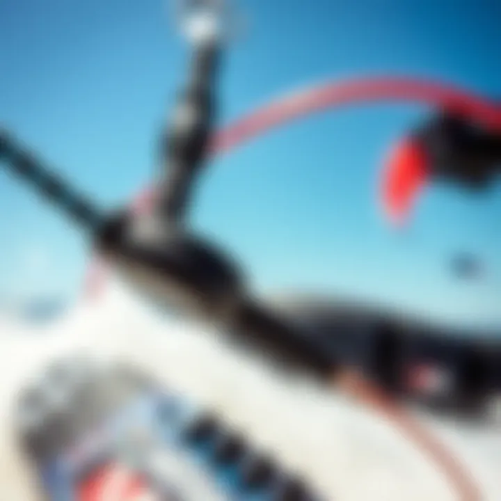 Advanced Freedom Leash Technology Close-up of advanced freedom leash technology