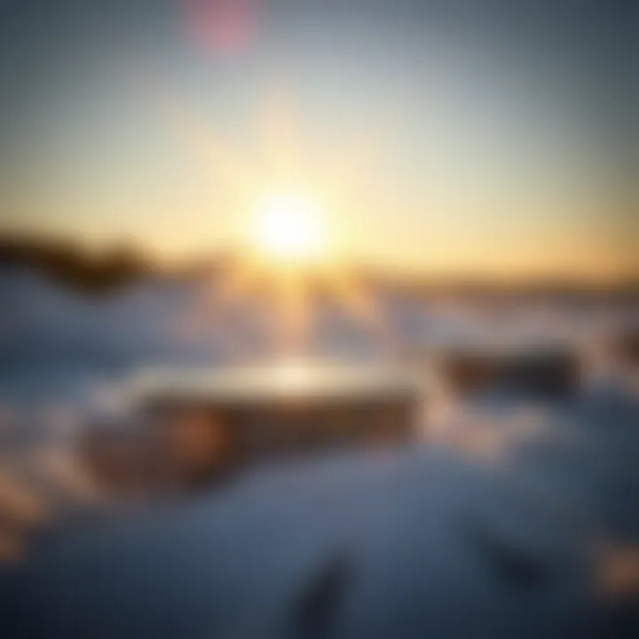 User Satisfaction with IKO Pans Satisfied user feedback on IKO pans, showcasing reviews and experiences