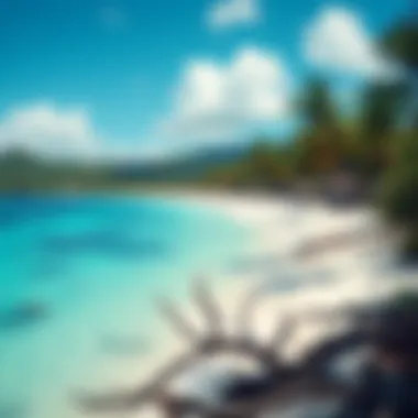 Scenic Vista of Kite Beach Stunning landscape view of Kite Beach with clear waters