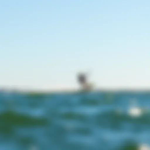 A kite foiler gliding effortlessly over the water's surface.