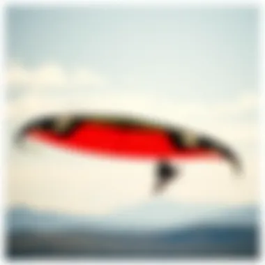 Vibrant Kite in Action A vibrant kite gliding through the sky during a landboarding session.