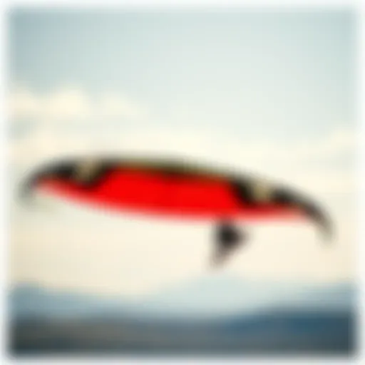 Vibrant Kite in Action A vibrant kite gliding through the sky during a landboarding session.