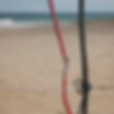 Comparison of various types of kite leashes on display