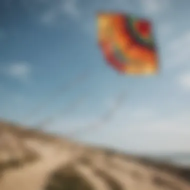 Variety of kite lines displayed in a vibrant environment