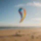 Variety of kites for kite surfing displayed on a beach