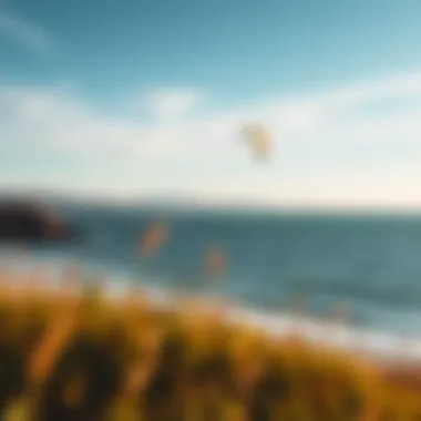 Scenic view of popular kiteboarding spots along the Bay Area coast