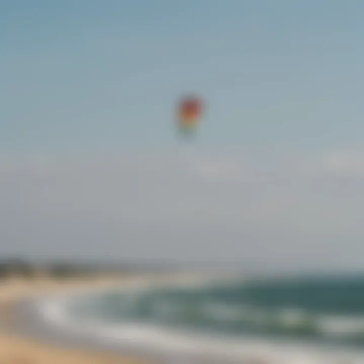 A vibrant kite soaring against the backdrop of Cape Cod's coastline