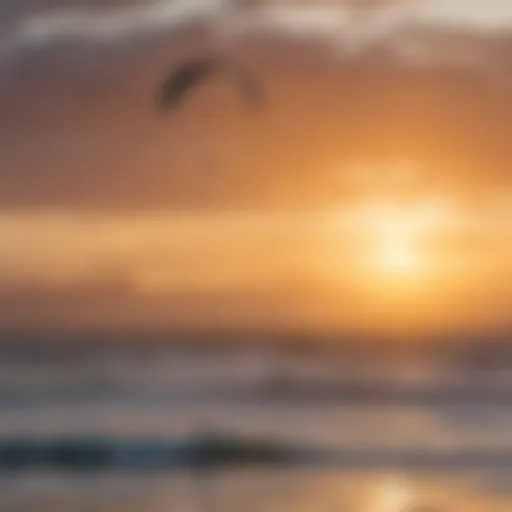 Stunning view of kite surfers riding the waves at sunset in Cape Town