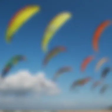 A detailed view of various kiteboarding kites laid out for comparison