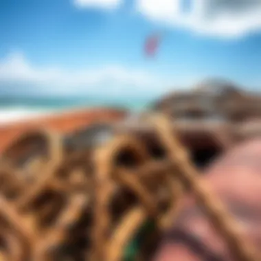 An array of kiteboarding materials highlighting their texture and quality