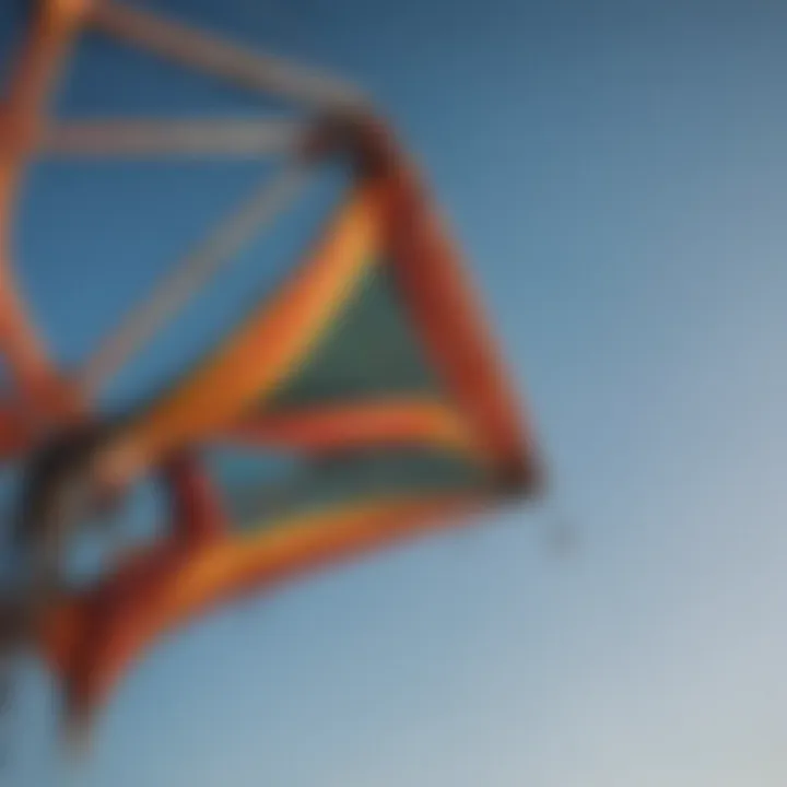 Close-up of a high-quality kite demonstrating its durable materials and features.