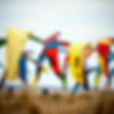 A selection of kites designed for strong winds, highlighting various styles.