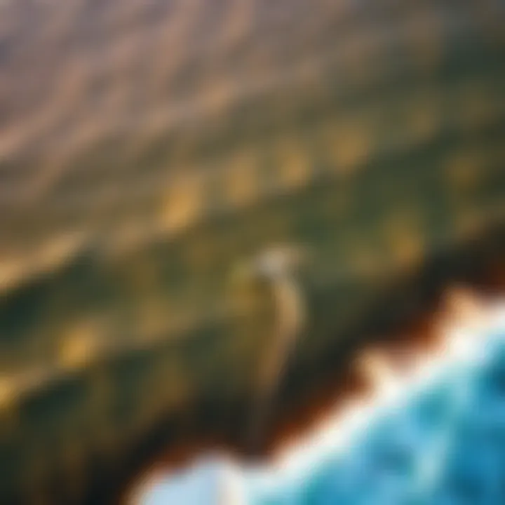 An aerial view of kitesurfers riding on a vibrant coastline