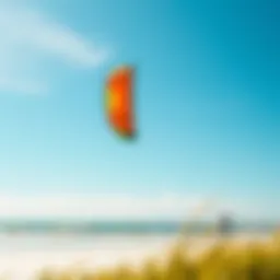 A vibrant kite soaring in the New Smyrna Beach sky