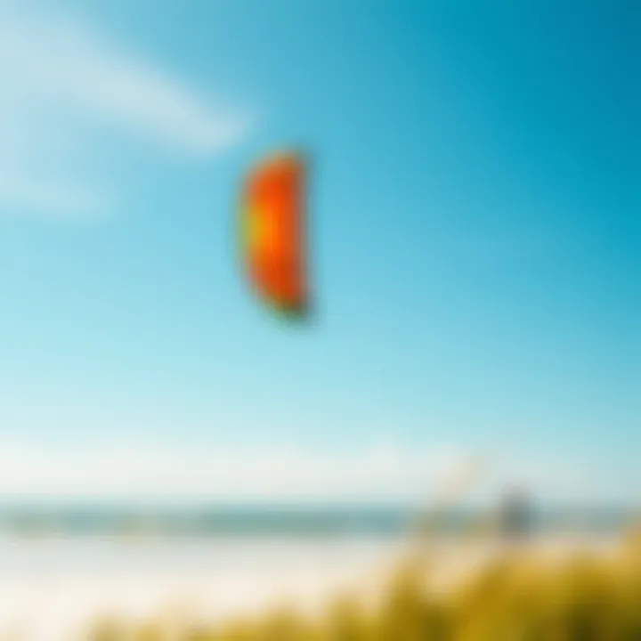 A vibrant kite soaring in the New Smyrna Beach sky