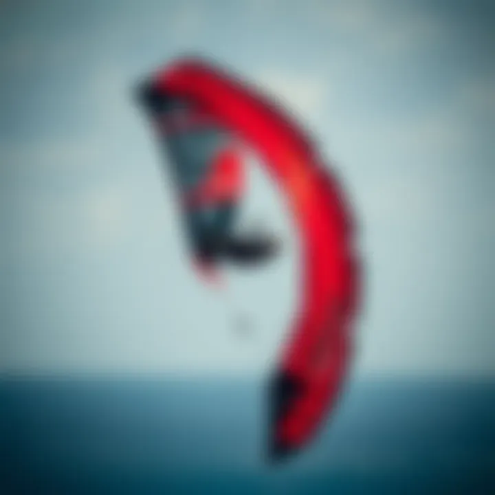 Rise Aluula Kite in Action Dynamic flight of the Rise Aluula kite drawing attention in the sky