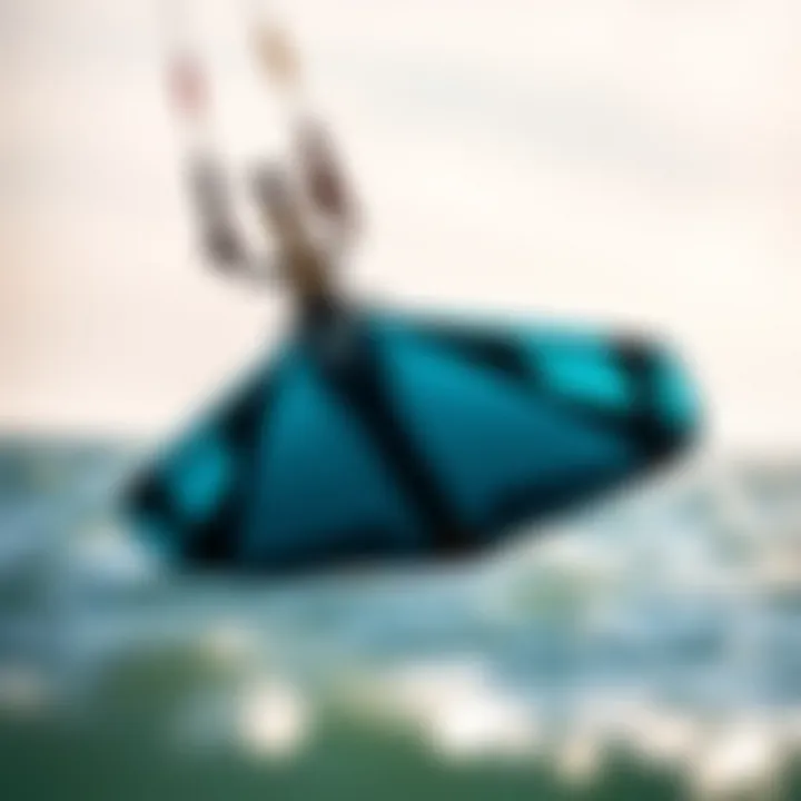 A close-up view of the Ocean Rodeo Wing showcasing its innovative design.