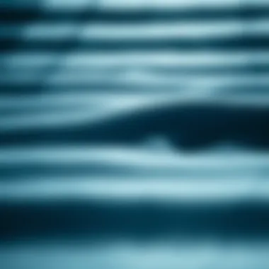 Close-up of Yulex material highlighting its texture