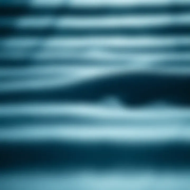 Close-up of Yulex material highlighting its texture