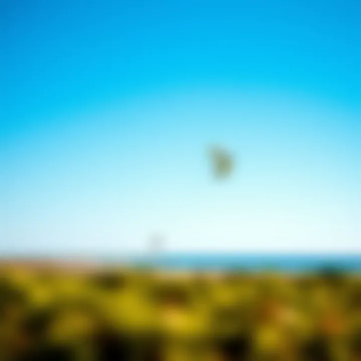 Ideal Kiteboarding Location A scenic landscape featuring an ideal kiteboarding location with a clear blue sky