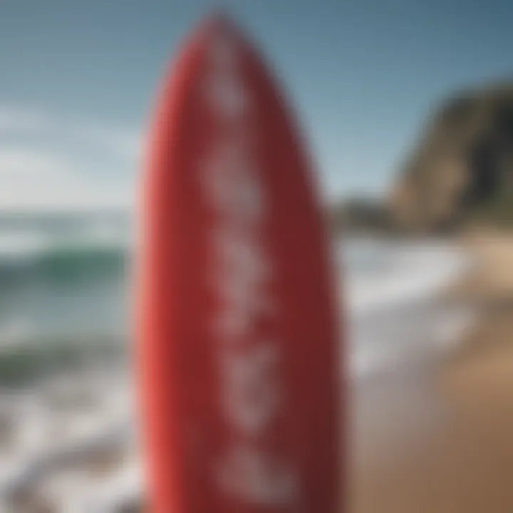 An artistic representation of the brand identity reflected in Matador surfboards.