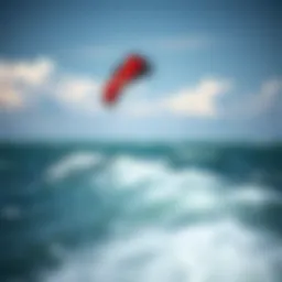 Predator kite soaring above water