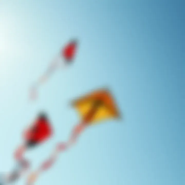 An aerial view of kites in flight against a clear blue sky