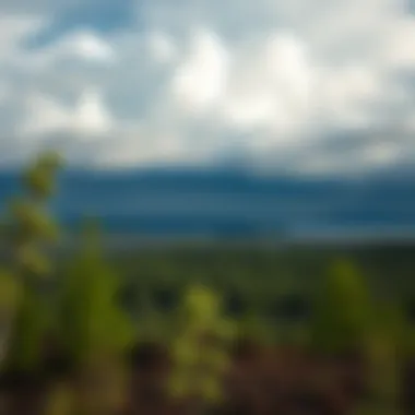 Local Climate of Crandon, Wisconsin A scenic view of Crandon's landscape with clouds indicating changing weather.