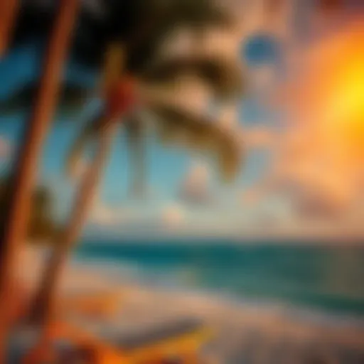 December Sunset Over a Turks and Caicos Beach Tropical beach at sunset in Turks and Caicos during December