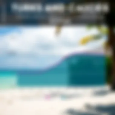 Infographic of average temperature and precipitation in December