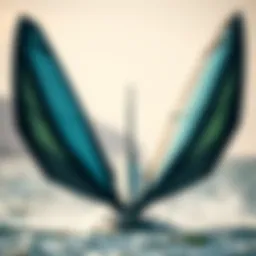 Detailed view of hydrofoil wings showcasing their aerodynamic design