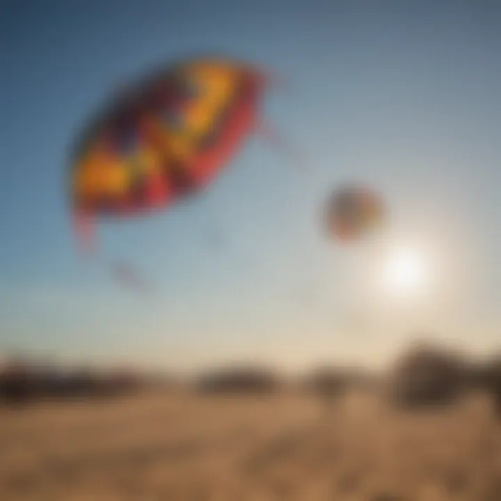 Visual comparison of different types of kites available in the market