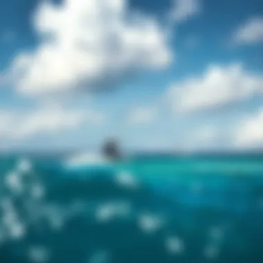 Kiteboarders enjoying the perfect conditions on Maui's waters