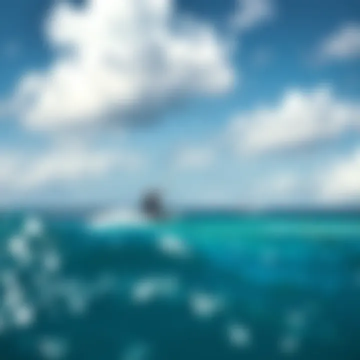 Kiteboarders enjoying the perfect conditions on Maui's waters