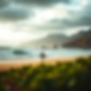 A visual representation of local weather patterns affecting kiteboarding