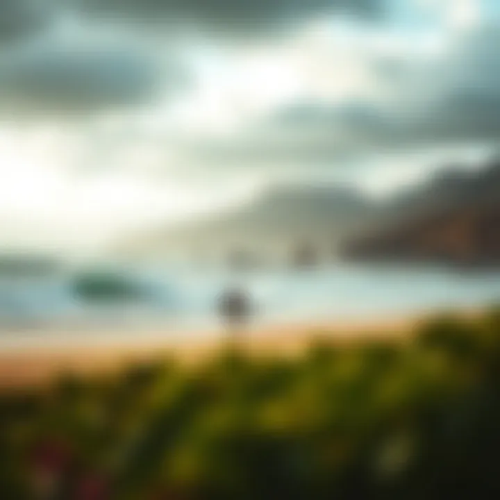 A visual representation of local weather patterns affecting kiteboarding