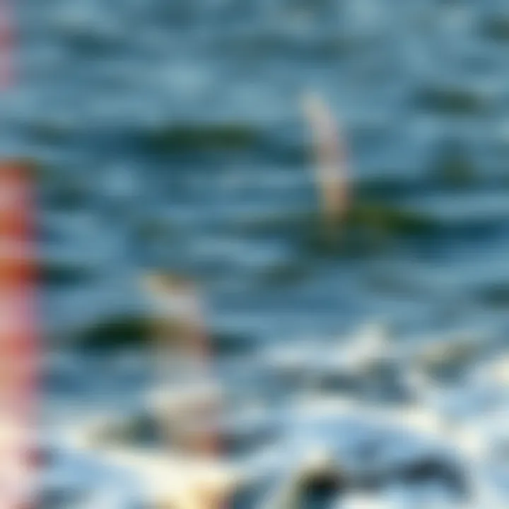 Seasonal Weather Variations Over Lake Erie Diagram illustrating seasonal weather variations over Lake Erie, highlighting wind patterns.