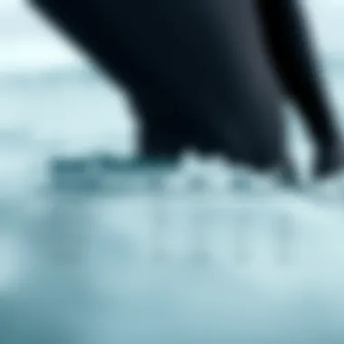 Wetsuit Thickness Comparison Guide Comparison of wetsuit thicknesses