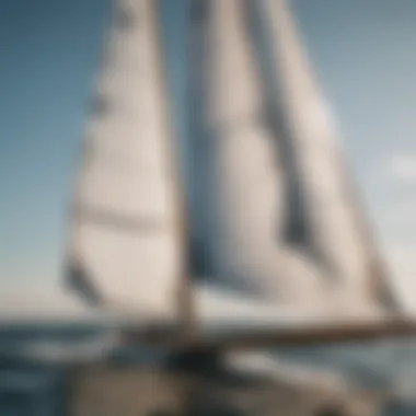 Close-up of a wing sailing foil showcasing its intricate design and build.