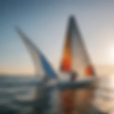 Variety of Wing Sailing Foils An overview of various wing sailing foil types displayed on a beach.