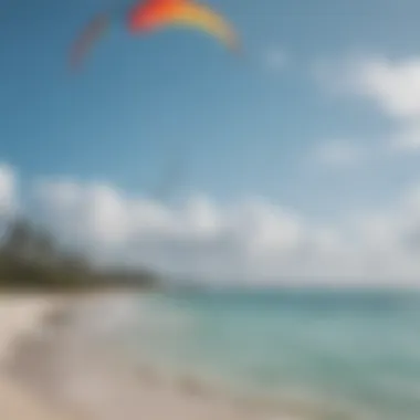 Serene beach with vibrant kites soaring against a clear sky