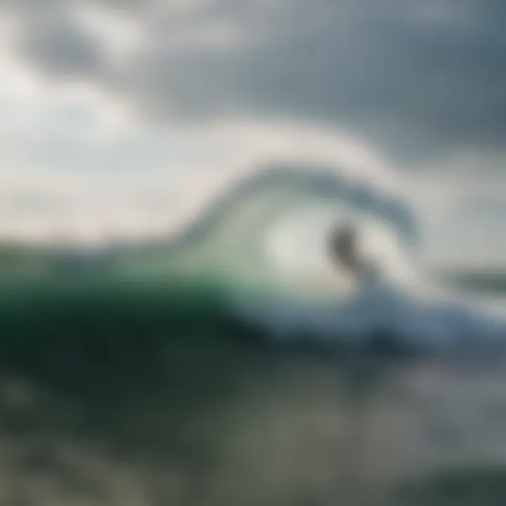 Dynamic wave patterns on Lake Erie