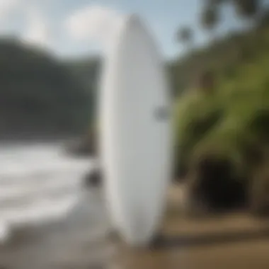 Ecological features of the Waydoo surfboard emphasizing sustainability