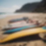 A collection of different wing surf boards displayed on a beach