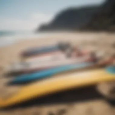 A collection of different wing surf boards displayed on a beach